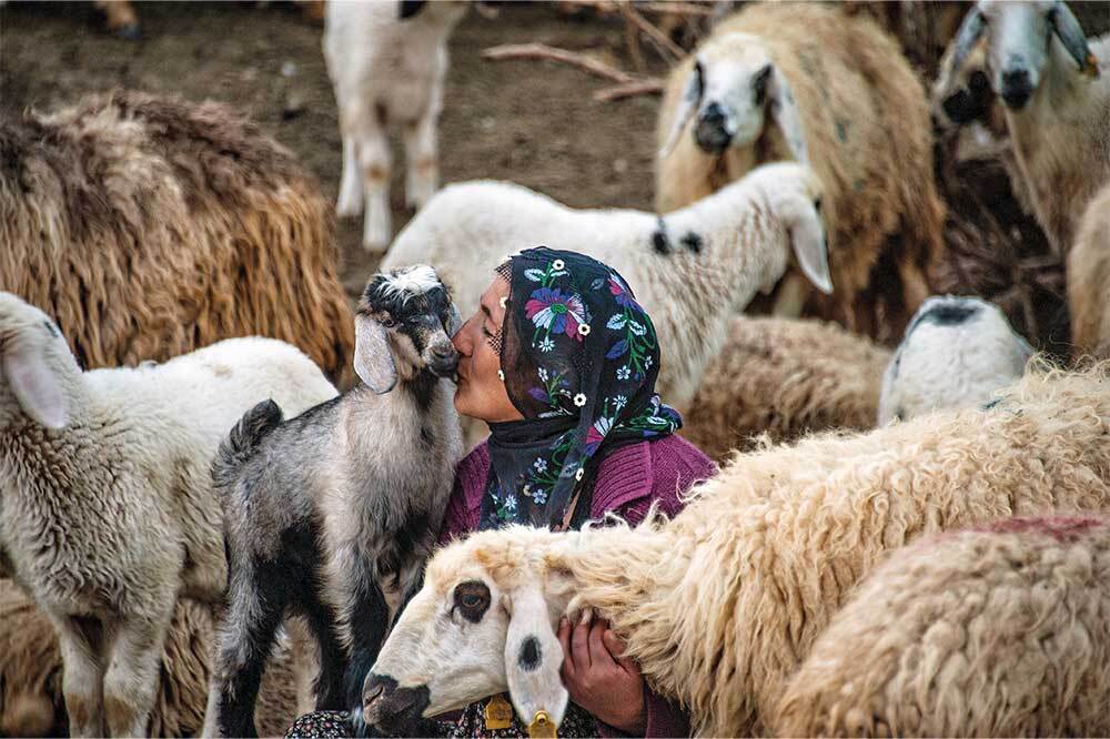 Türkiye'de Kadın Olmak