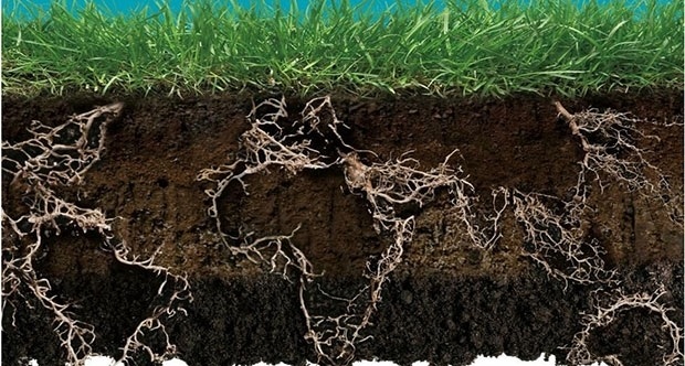 Türkiye Ne Kadar Toprak Kaybetti?