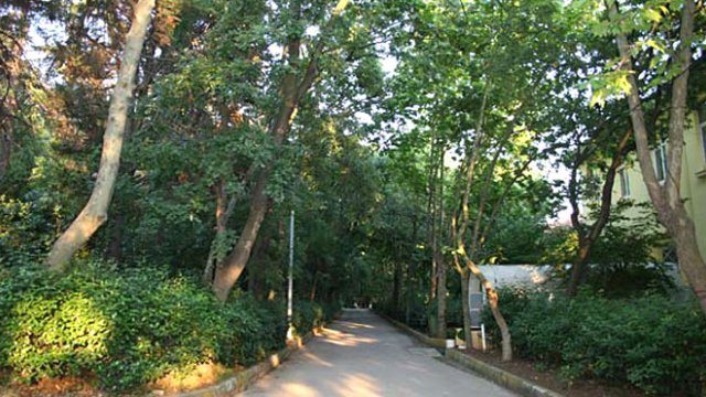 Validebağ’a Otopark Yapımı Tekrar Gündemde