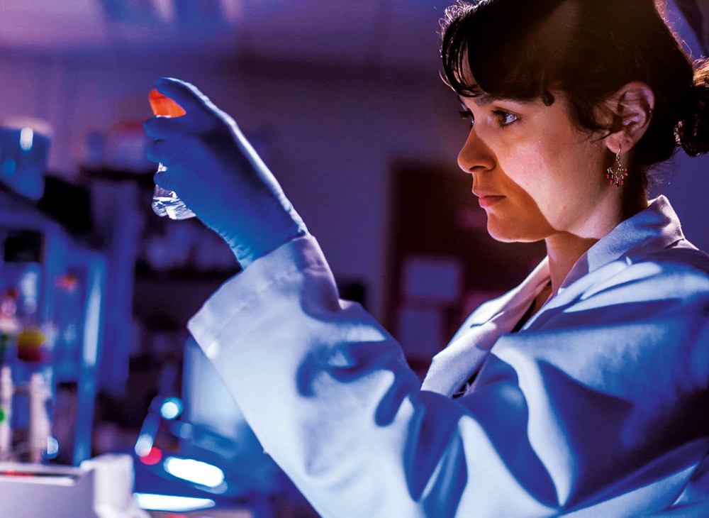 Yaşamın Sırrının Peşinde