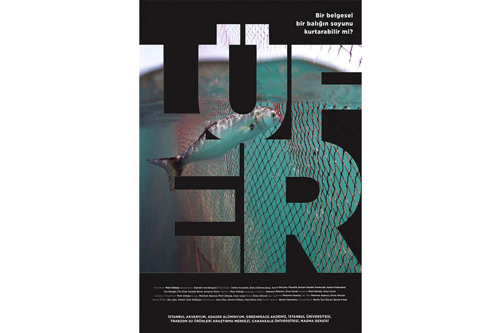 “Yavru Balık Yemeyiz Biz”