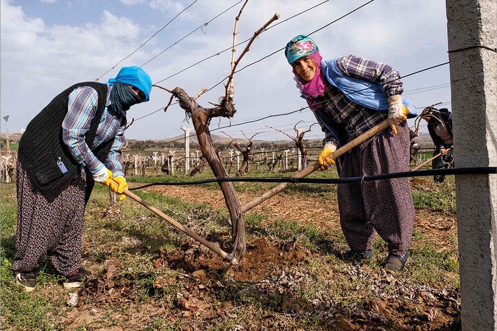 8 Mart Dünya Emekçi Kadınlar Günü’nü Rakamlar Kutlamıyor 1