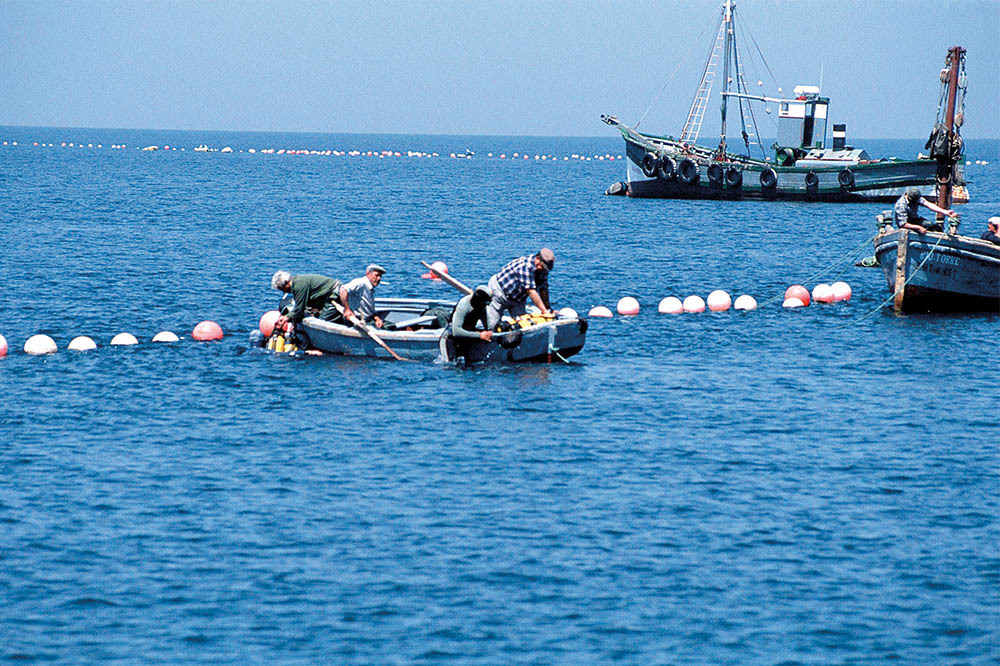 Akdeniz’in Geleceği 2