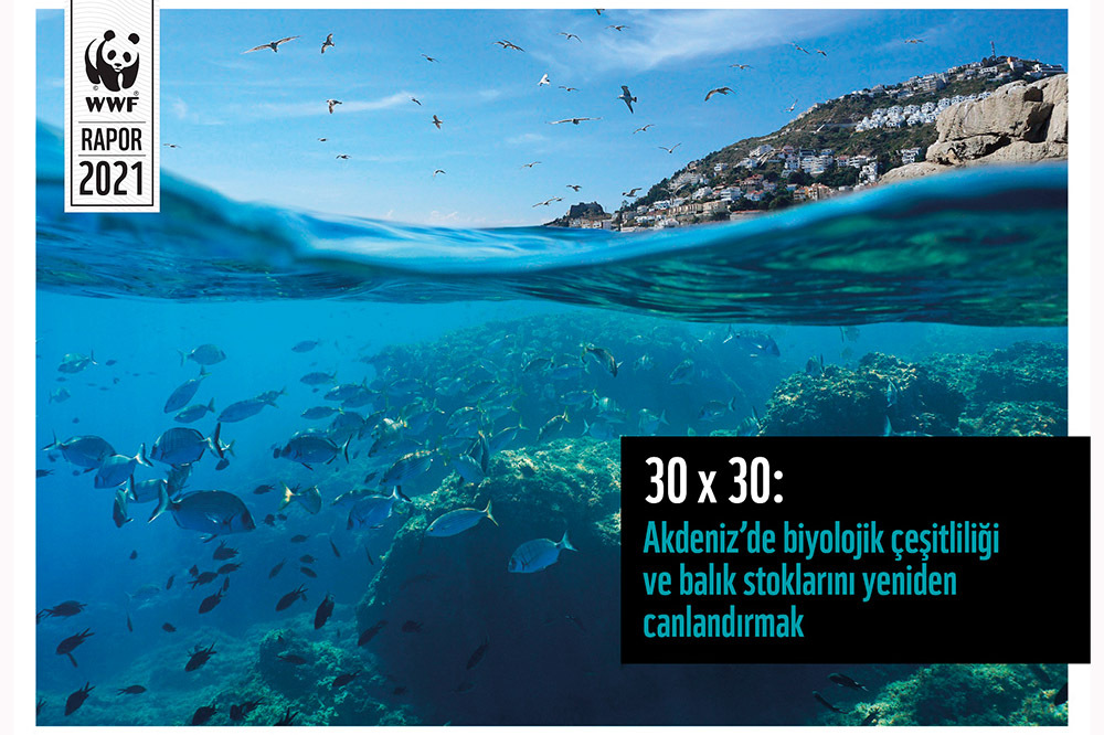 Akdeniz’in Geleceği 1