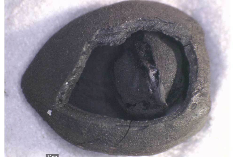 Anadolu'nun Bereketli Hafızası 3