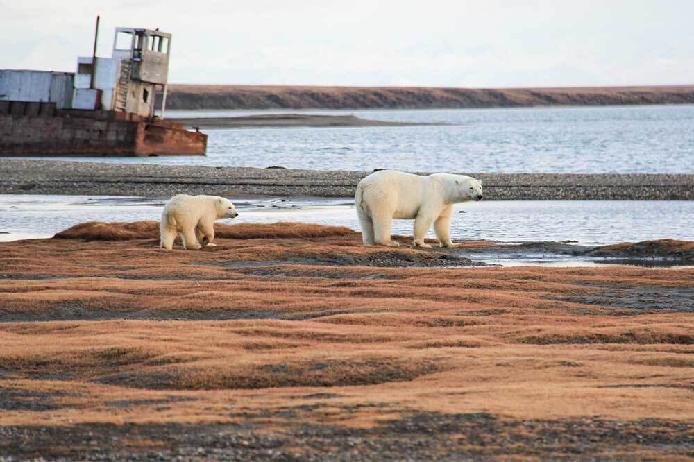 Buzsuz Denizlerde Avlanmak 1