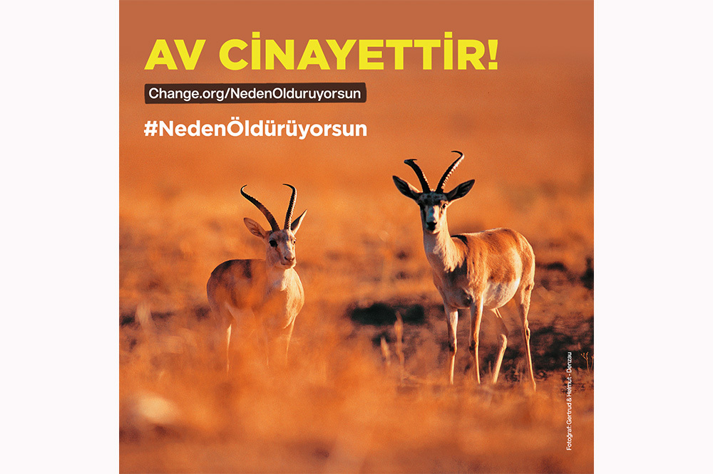 change.org: Değişime İnan 5