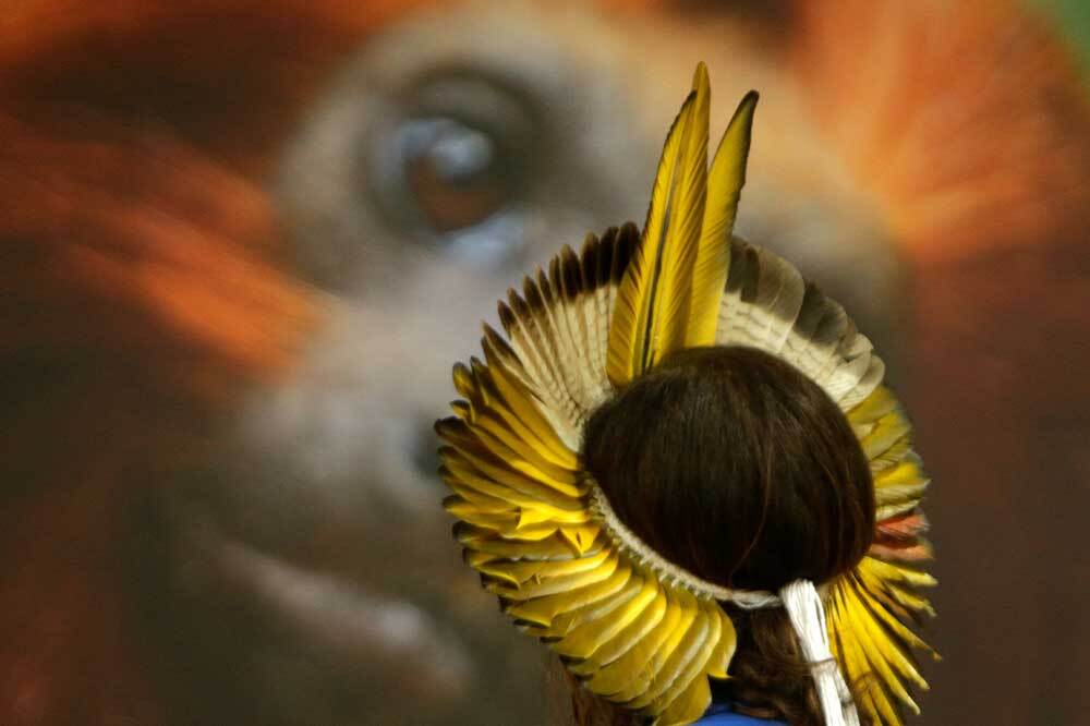 COP30 Amazon'un Kalbinde Toplanıyor 3