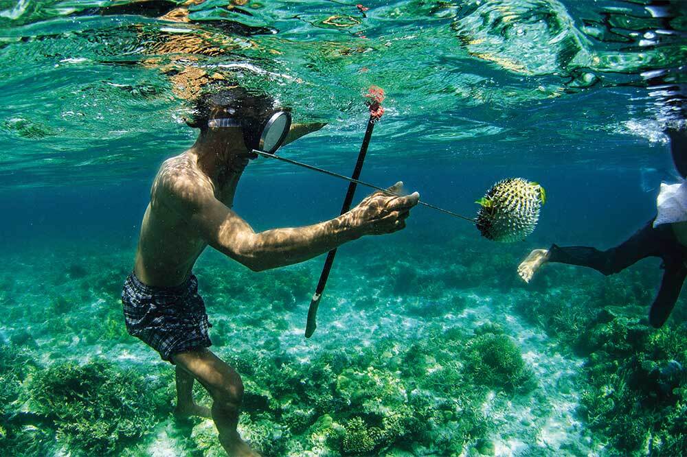 Coral Lives (Yaşayan Mercanlar) Yayında 2