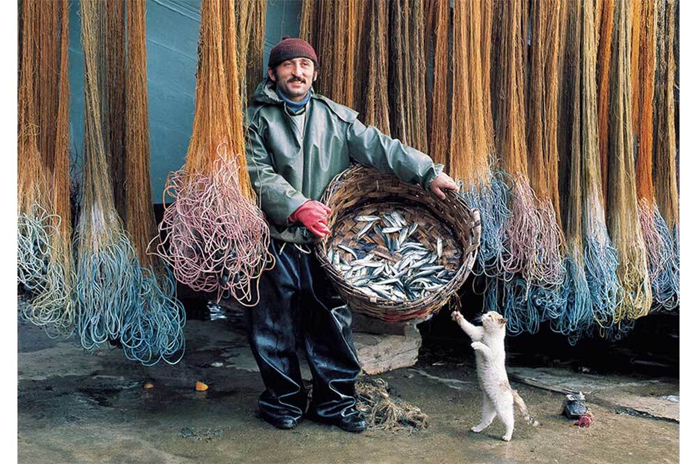 Fotoğrafçının Tanıklığı 7