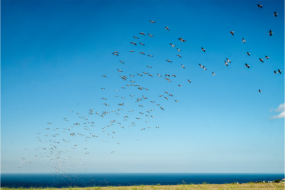 G&uuml;venli G&ouml;&ccedil; İ&ccedil;in İzolasyon 2