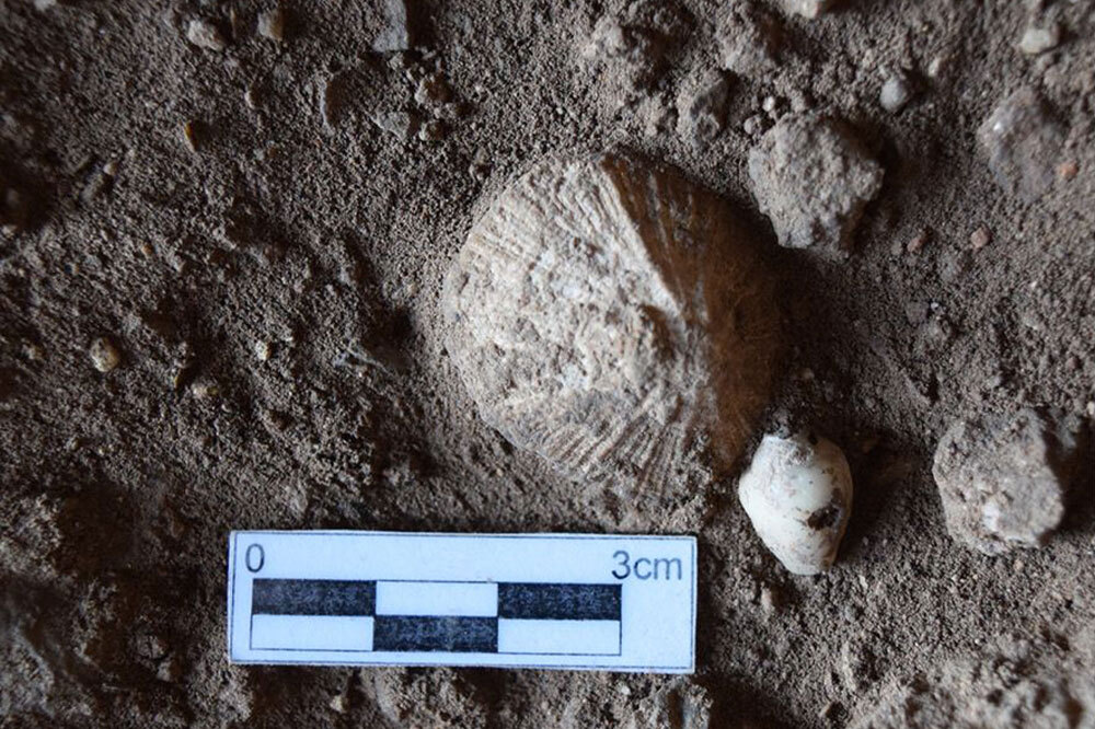 Hatay’da Neandertallerin Kültürel Mirasını Modern İnsan Sürdürdü 3