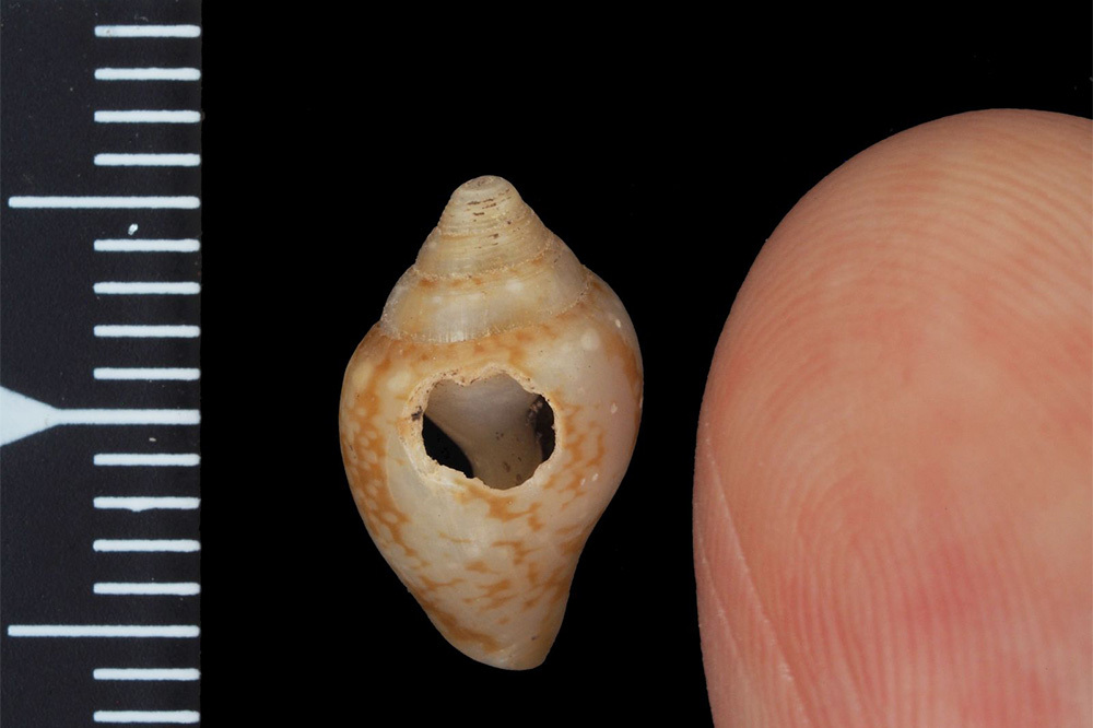 Hatay’da Neandertallerin Kültürel Mirasını Modern İnsan Sürdürdü 4