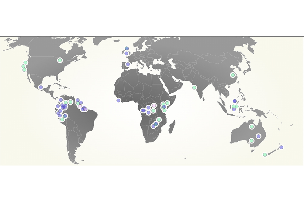 İşgalin Yeni Bi&ccedil;imi: Karbon S&ouml;m&uuml;rgeciliği 1