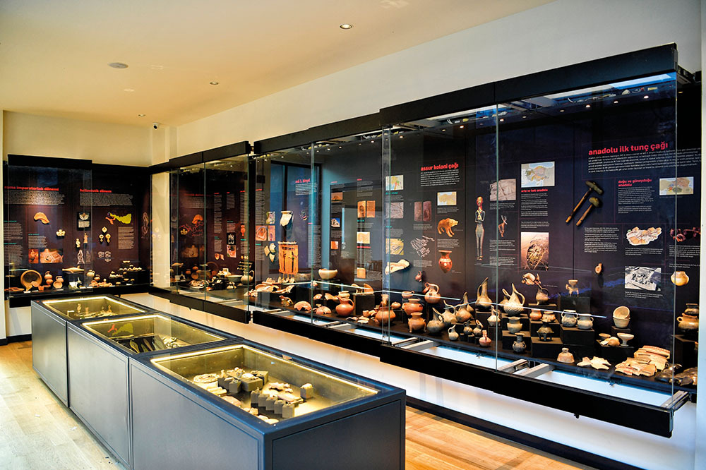 İstanbul Üniversitesi Rıdvan Çelikel Müzesi 2