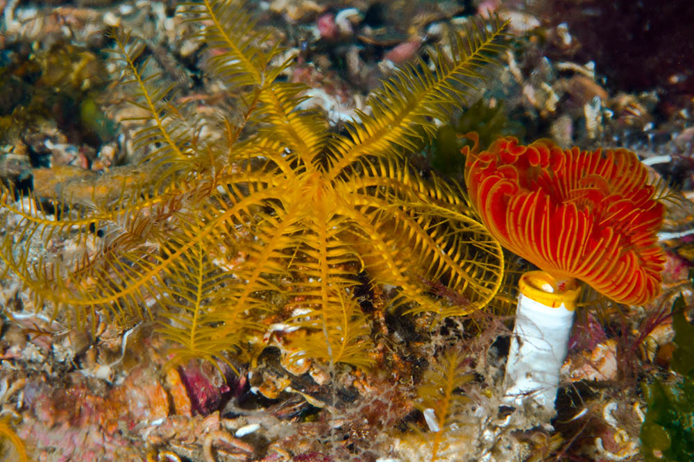 Marmara’dan Akdeniz’e Yelken 3