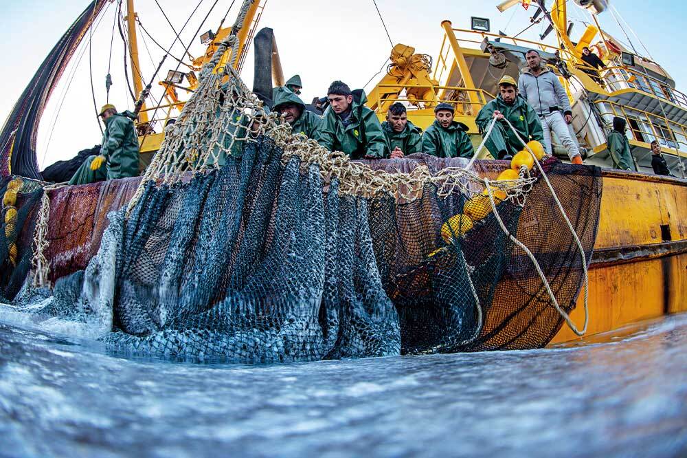 Mavi Kıtanın Yeni Anayasası: A&ccedil;ık Denizler Anlaşması Y&uuml;r&uuml;rl&uuml;ğe Girdi 1