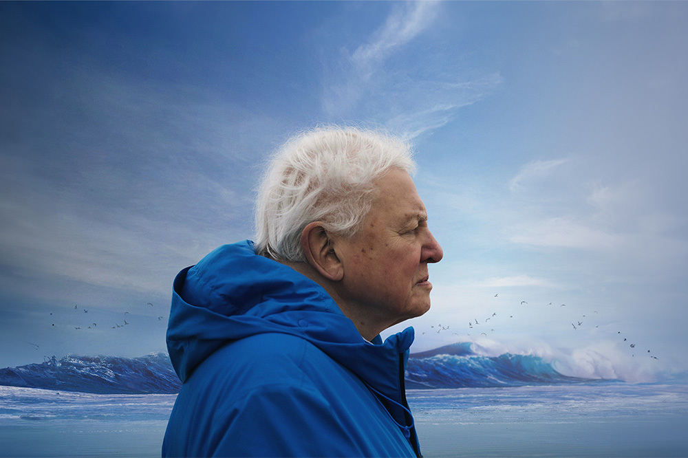 "Ocean with David Attenborough" 7 Mayıs&rsquo;ta, İstanbul'da 2