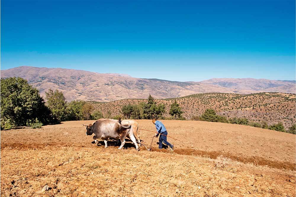 YAPAY ZEKÂ ÇAĞI / İNSANI ARAMAK 2