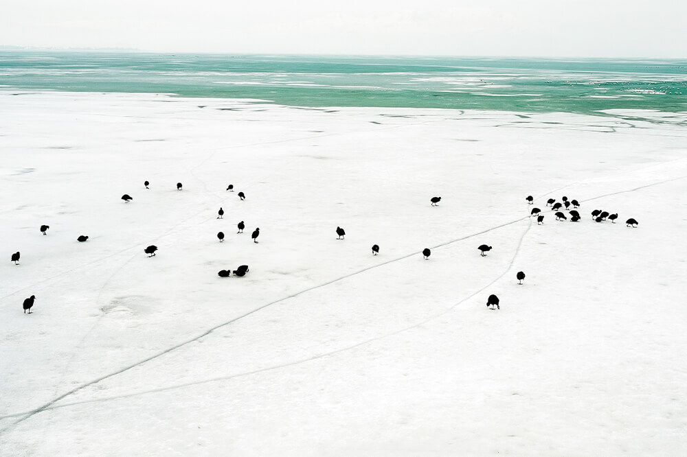 Yaşamı Besleyen Sular 4