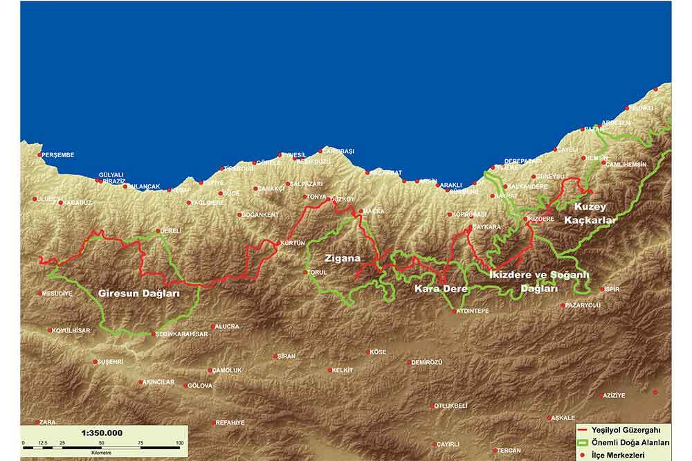 Yeşil Yol Cerattepe ve Üç Kadın 4