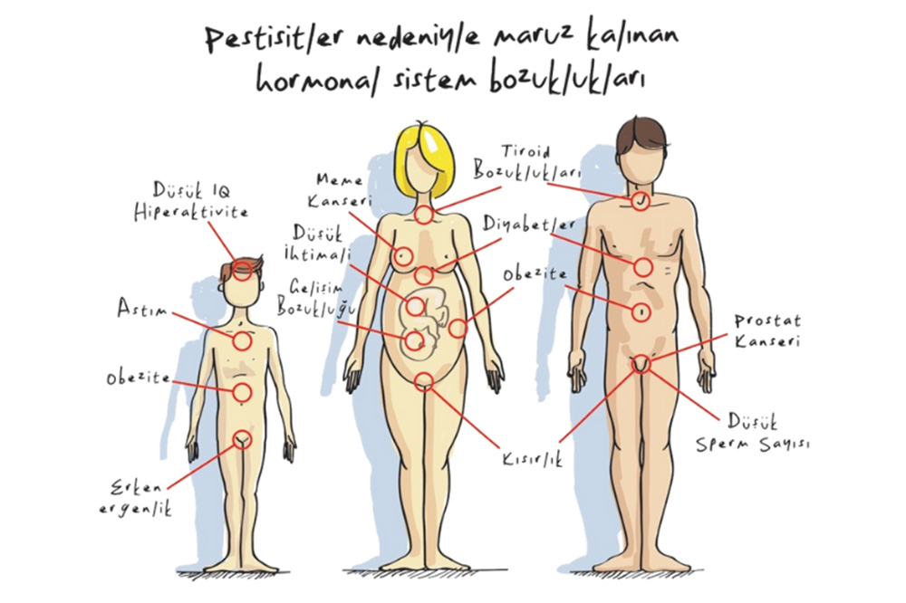 Zehirsiz Sofralar Platformu Kuruldu 2