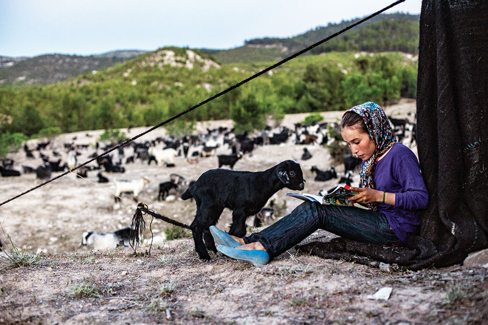 Yerlilerin Bilgelik Okulu