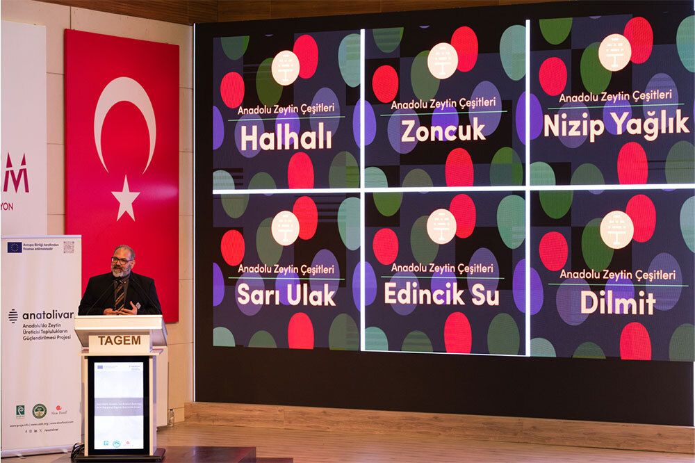Zeytin Mirasımızı Geleceğe Taşımak